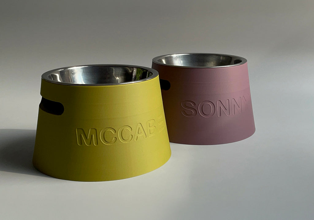 10 cm tall Personalized Elevated Dog Bowl Holder, Healthy Back, Custom Name